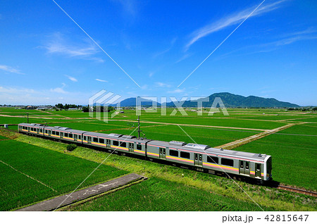 弥彦山を背景に越後平野の緑の田園地帯を行く越後線E129系電車 42815647