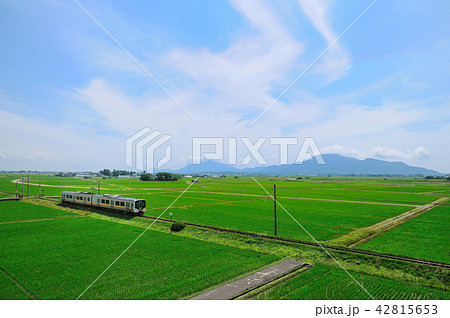 弥彦山を背景に越後平野の緑の田園地帯を行く越後線E129系電車 42815653
