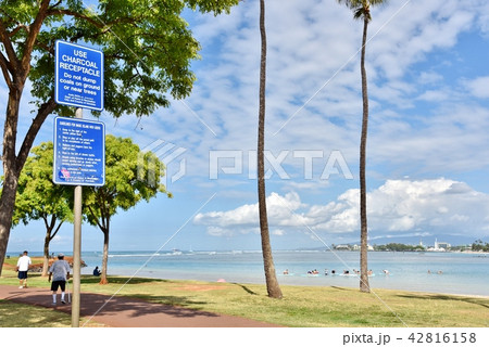 ハワイの休日 42816158