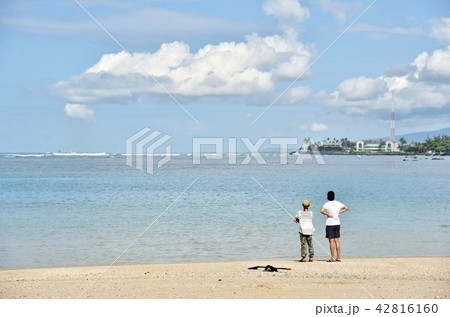 ハワイの休日 ハワイの休日 42816160