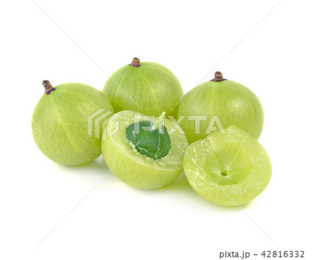 gooseberries on white background 42816332