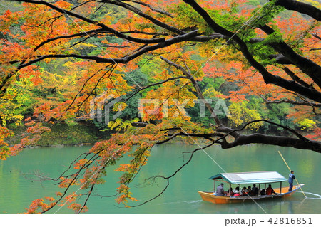 京都嵐山 42816851