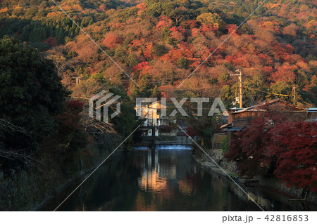 京都嵐山 42816853