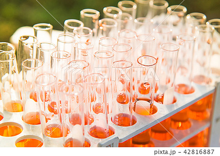 Lab science research 42816887