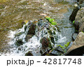 白川水源　（みなみ阿蘇） 42817748