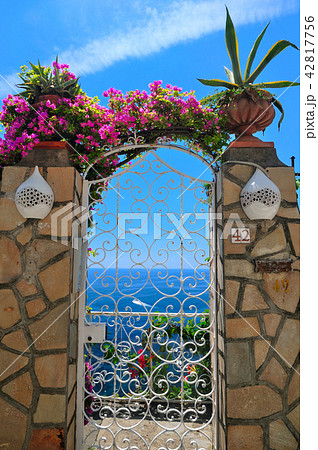 ブーゲンビレアが咲く門の向こうに見える海 42817756