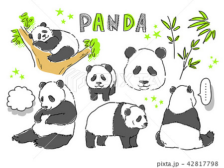 動物 パンダのイラスト素材 42817798 Pixta