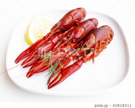 ザリガニ料理 ザリガニ料理 42818311