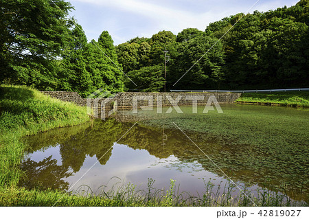立田山憩の森 立田山憩の森 42819027
