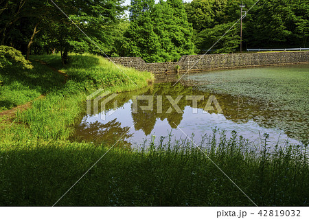 立田山憩の森 立田山憩の森 42819032