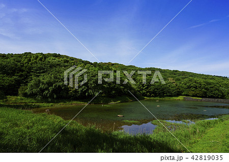 立田山憩の森 42819035