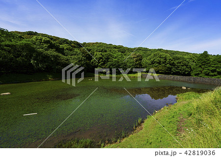 立田山憩の森 立田山憩の森 42819036