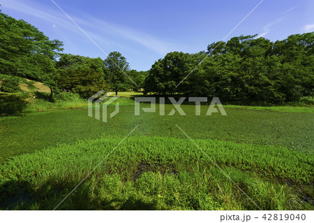 立田山憩の森 42819040