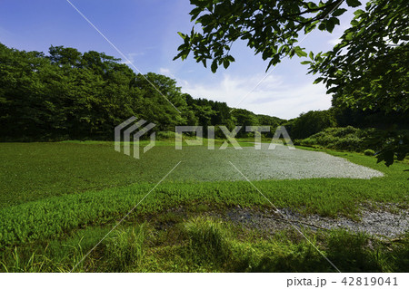 立田山憩の森 立田山憩の森 42819041