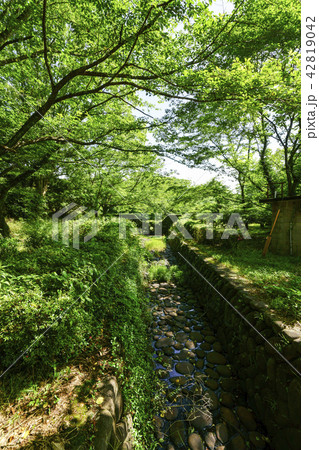 立田山憩の森 立田山憩の森 42819042