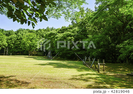 立田山憩の森 42819046