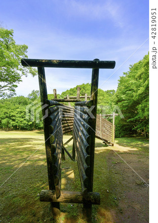 立田山憩の森 42819051