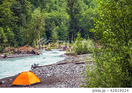 Tent in Mount Rainier National Park 42819324