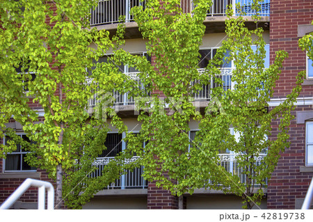 Green tees in front of brick building downtown Green tees in front of brick building downtown 42819738