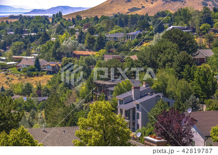 Homes in the hills and trees 42819787