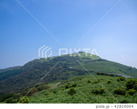 【伊豆半島】快晴・青空・夏の高原風景【伊豆山稜線歩道・だるま山周辺】 42820004