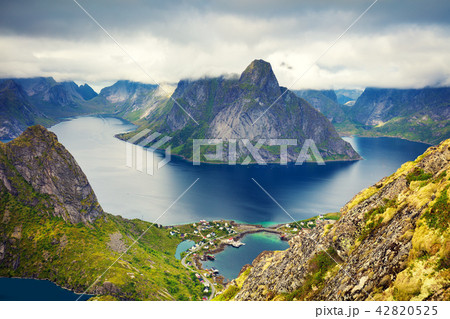 Aerial view of the fjord from the mountain Aerial view of the fjord from the mountain 42820525