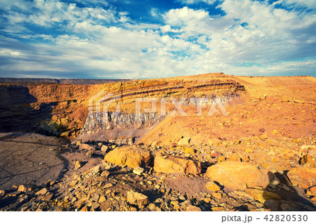 Makhtesh Ramon Crater in Negev desert, Israel 42820530