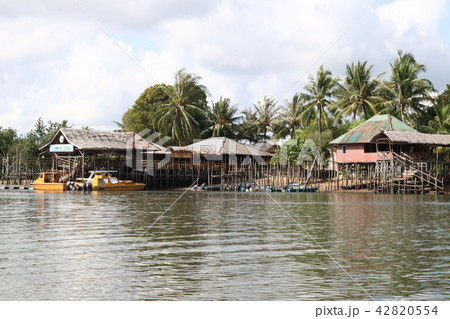 マングローブツアー 42820554