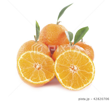 oranges in studio oranges in studio 42820706