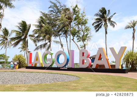 パッサ・オレオレ パッサ・オレオレ 42820875