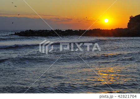 日の出 海 東海 42821704
