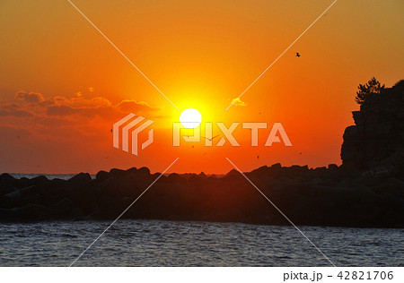 日の出 海 東海 42821706