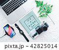 Business vacation Flat lay 42825014