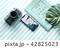Business vacation Flat lay 42825023