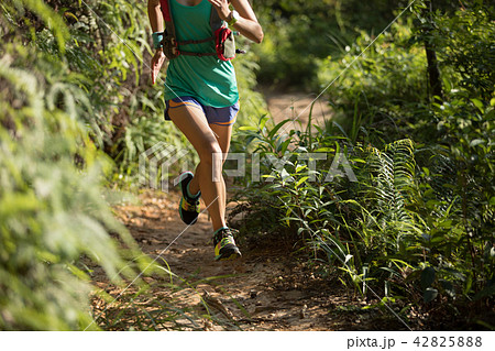 Woman trail runner running in morning forest 42825888