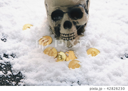 Bitcoin 金貨 仮想通貨 ゴールド 雪 42826230