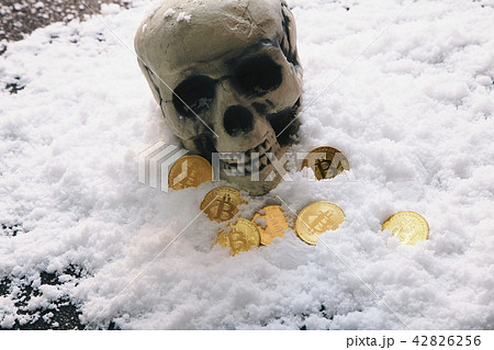 Bitcoin 金貨 仮想通貨 ゴールド 雪 42826256