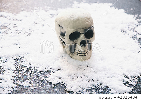 頭蓋骨 雪 42826484