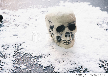 頭蓋骨 雪 頭蓋骨 雪 42826485
