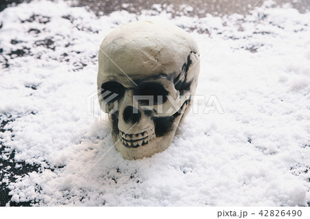 頭蓋骨 雪 頭蓋骨 雪 42826490