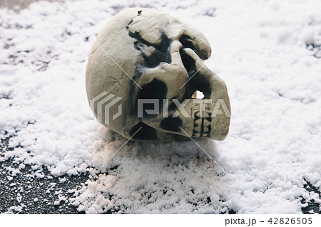 頭蓋骨 雪 42826505