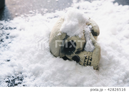 頭蓋骨 雪 頭蓋骨 雪 42826516