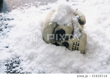 頭蓋骨 雪 頭蓋骨 雪 42826518