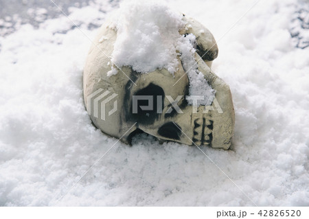 頭蓋骨 雪 頭蓋骨 雪 42826520