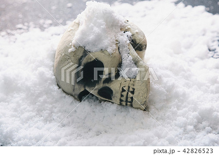 頭蓋骨 雪 頭蓋骨 雪 42826523