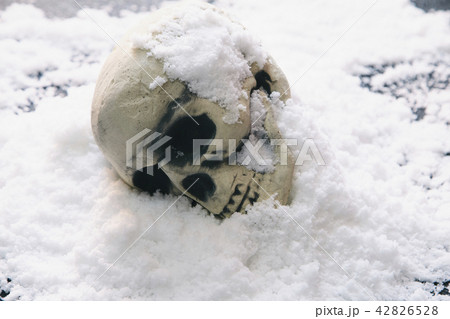 頭蓋骨 雪 頭蓋骨 雪 42826528