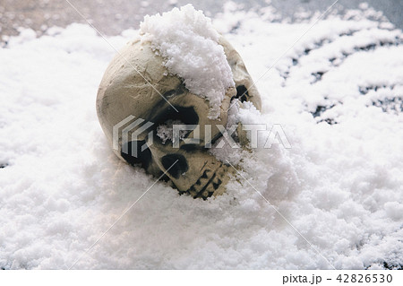 頭蓋骨 雪 42826530