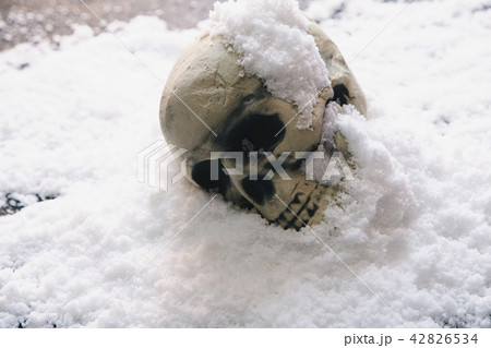 頭蓋骨 雪 42826534