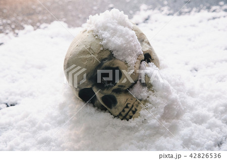 頭蓋骨 雪 頭蓋骨 雪 42826536
