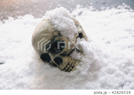 頭蓋骨 雪 42826539